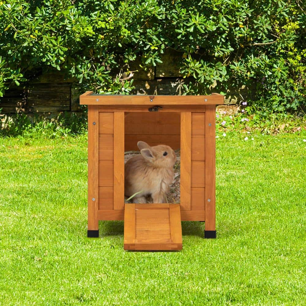 Modern Wooden Rabbit Cat Dog Hutch by Amucolo - Image 7