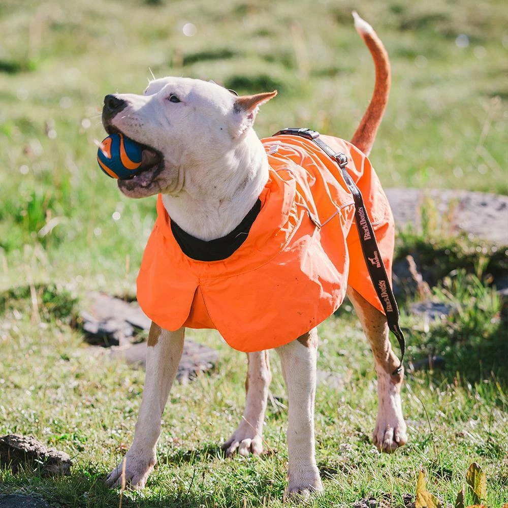 Size 2XL Orange Cool sytle Dog Jackets by Foobrues - Image 6