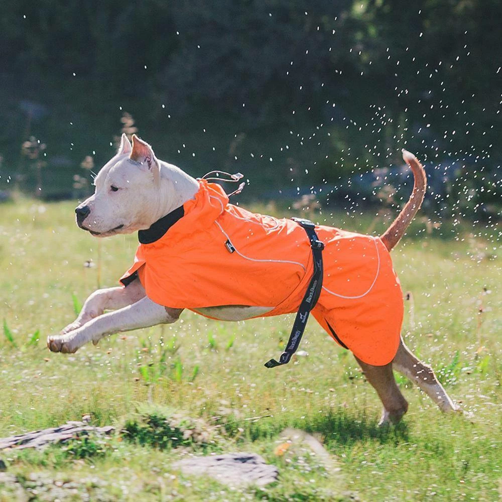 Size 2XL Orange Cool sytle Dog Jackets by Foobrues - Image 7