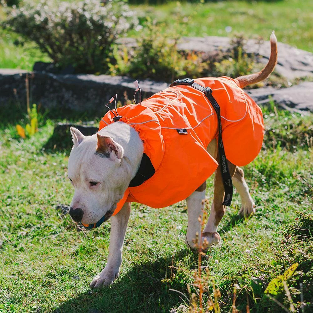 Size 2XL Orange Cool sytle Dog Jackets by Foobrues - Image 5