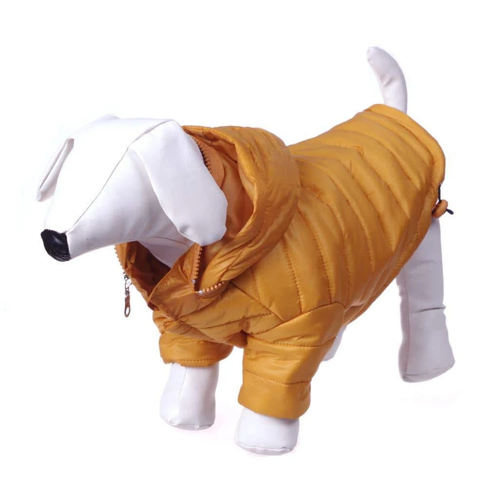 X-Small Sporty Mustard Lightweight Adjustable Sporty Avalanche Dog Coat with Removable Pop Out Collared Hood by PET LIFE - Image 3