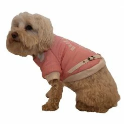 Medium Pink Varsity-Buckled Collared Pet Coat by PET LIFE